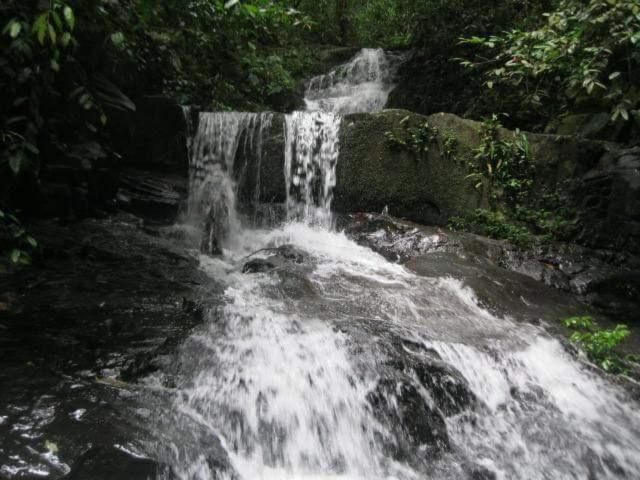 Photo of Others in Bukit Lawang