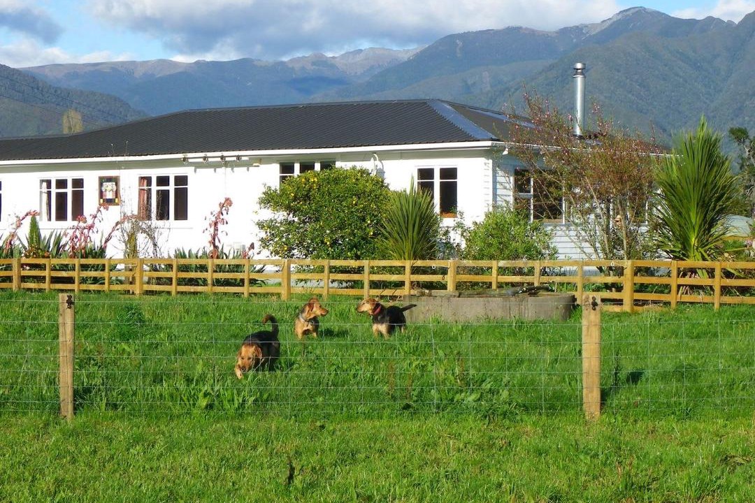 Photo of Others in Takaka