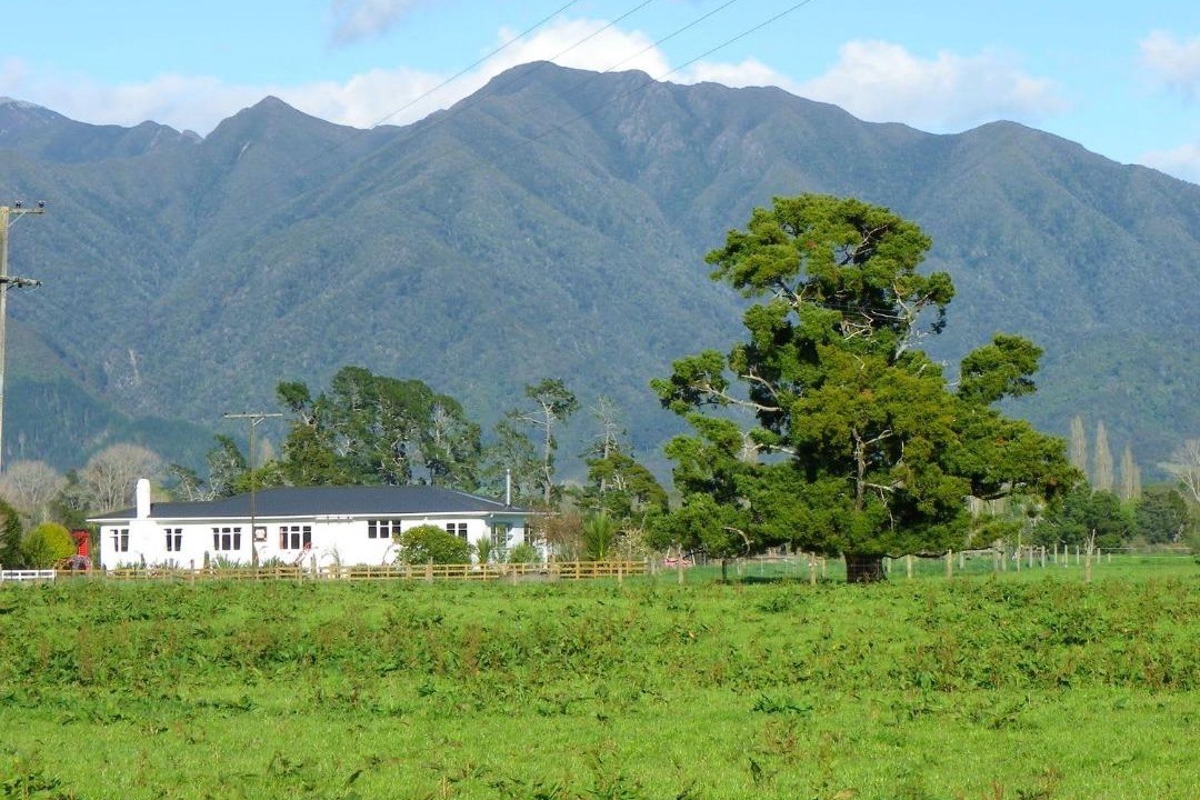 Photo of Others in Takaka