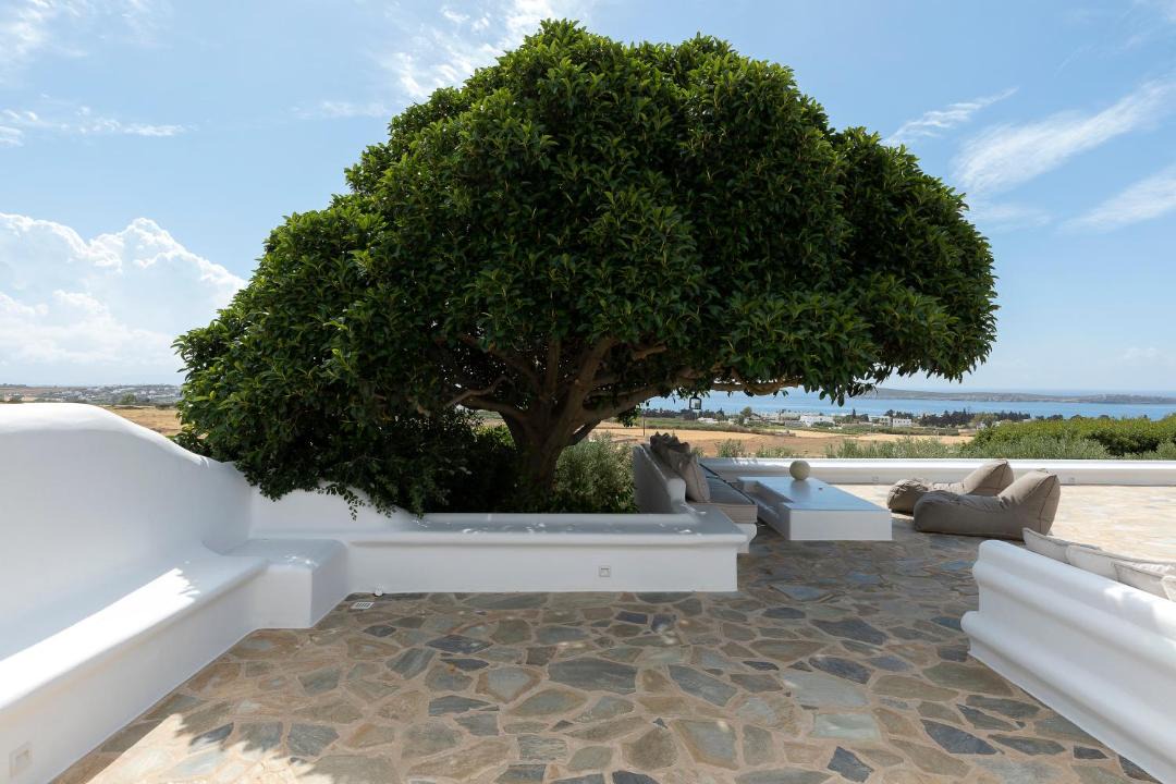 Photo of Others in Drios