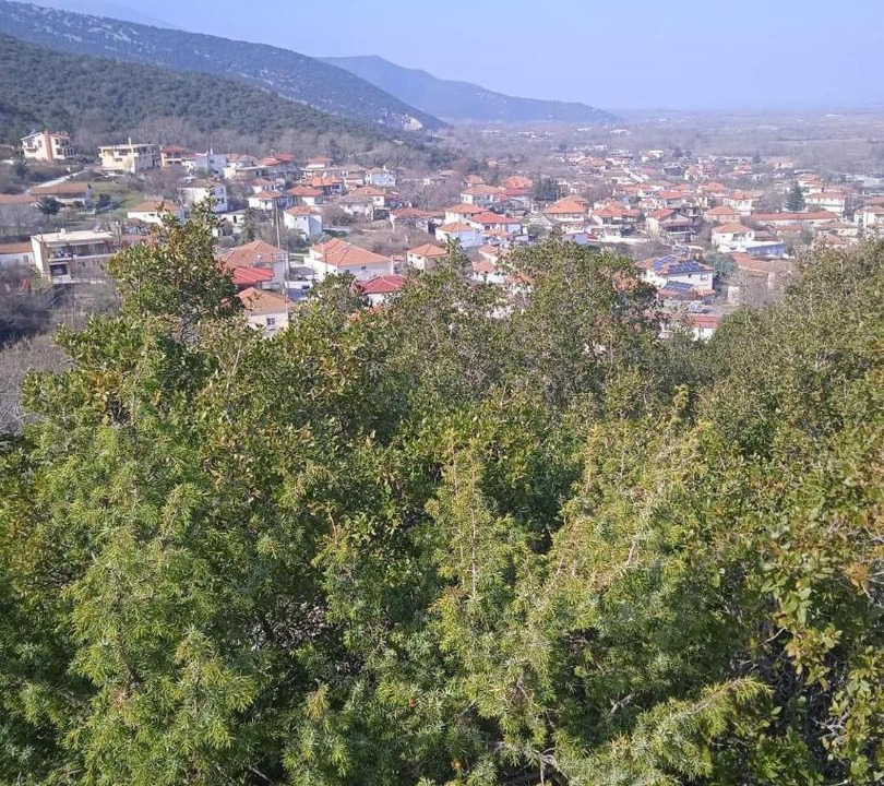 Photo of Others in Nikisiani