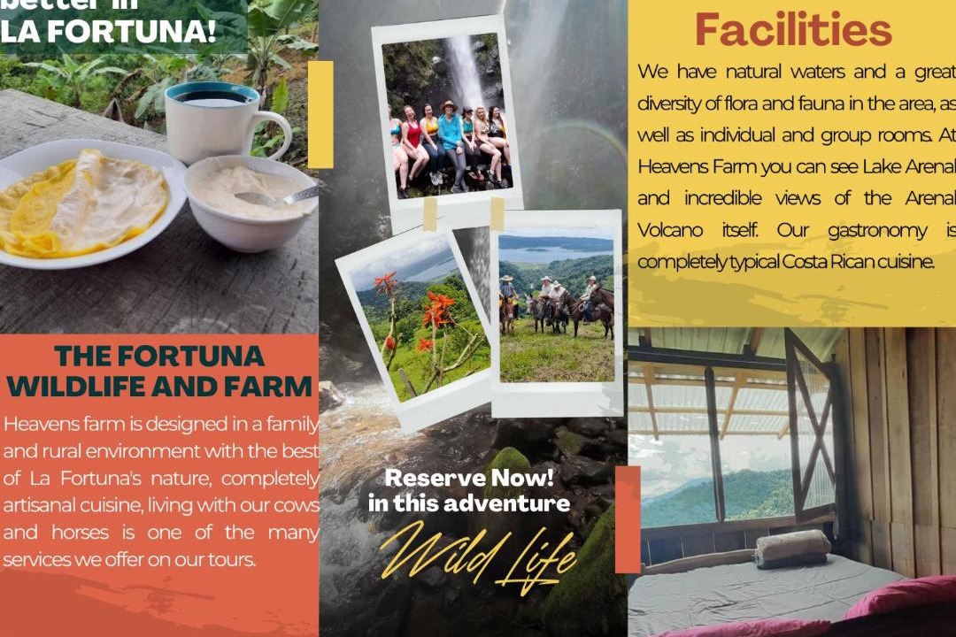 Photo of Others in La Fortuna