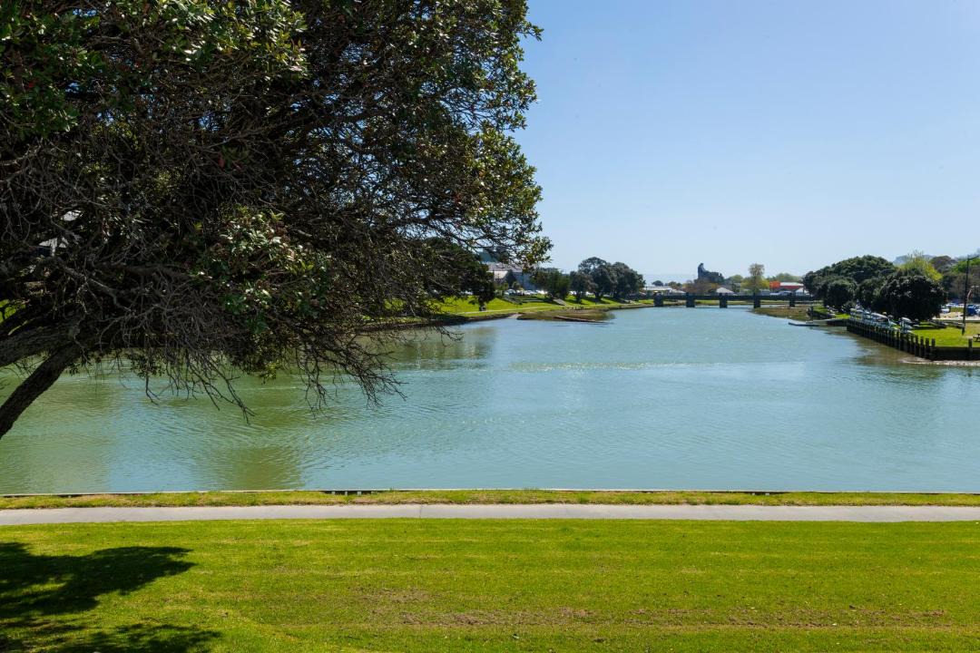 Photo of Others in Gisborne