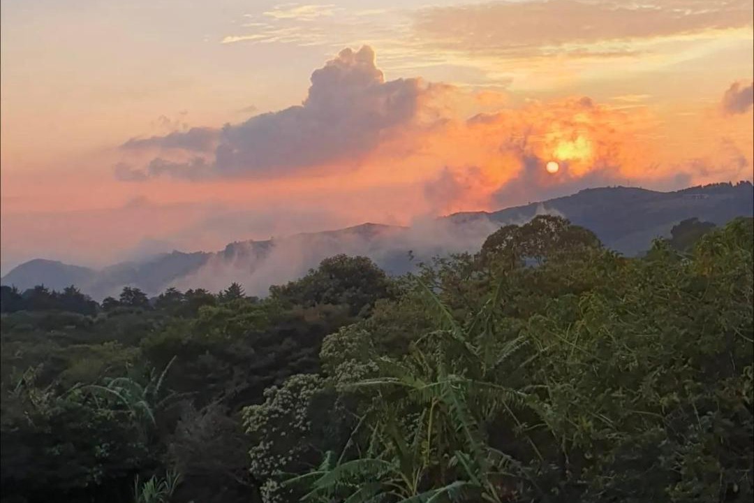 Photo of Others in Monteverde