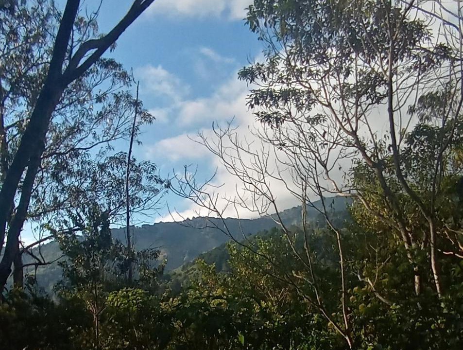 Photo of Others in Tarbaca