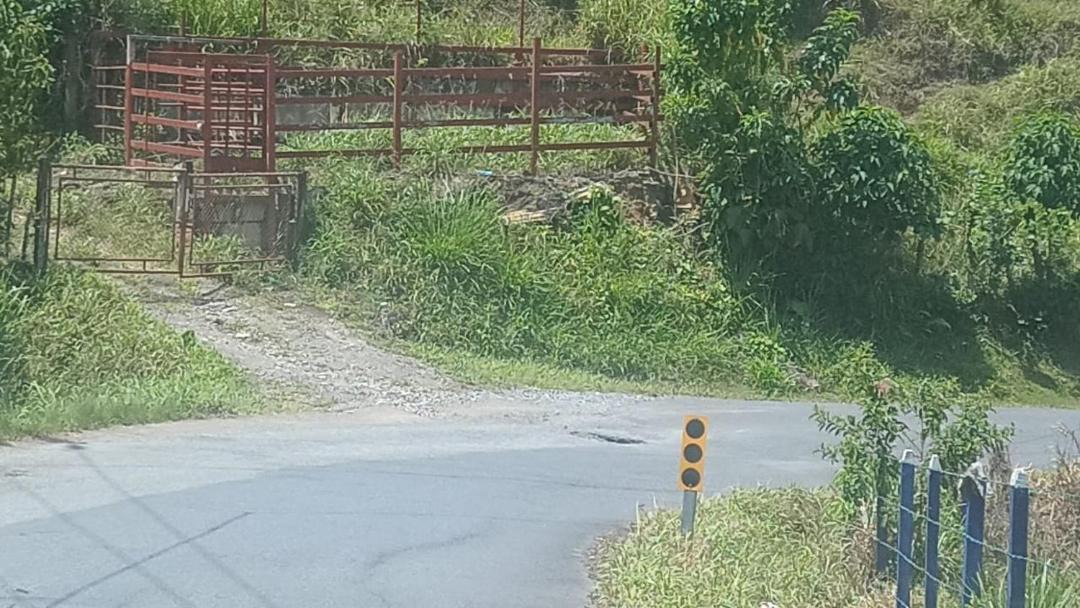 Photo of Others in Tayutic