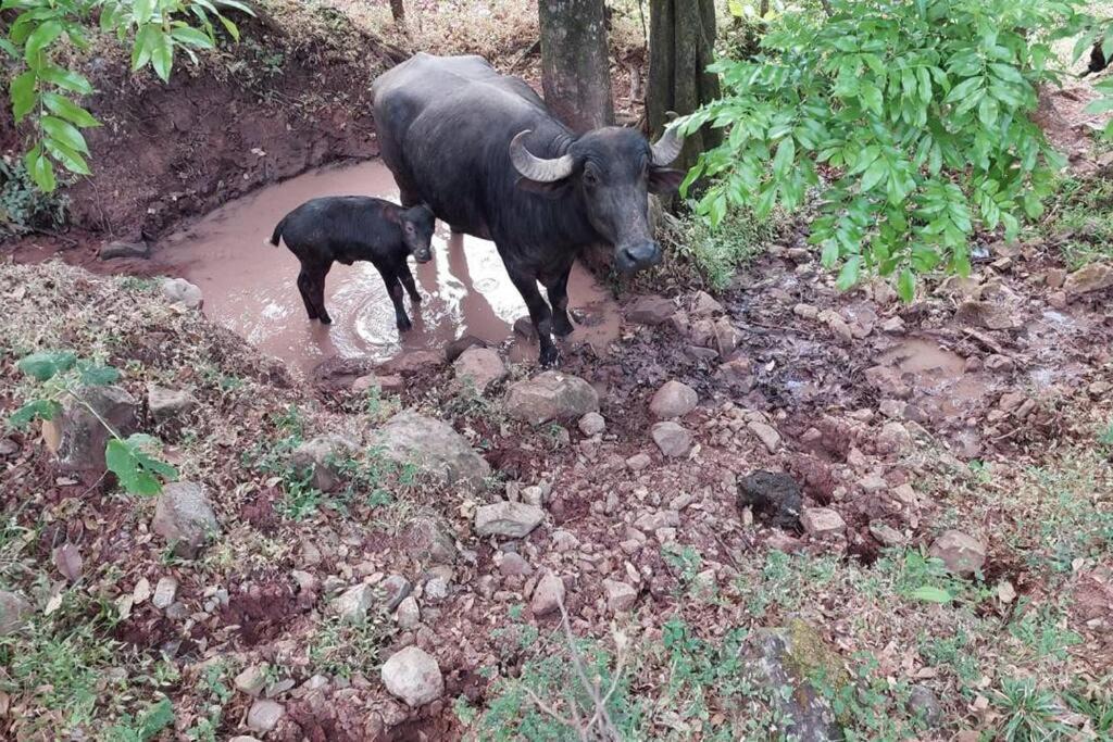 Photo of Others in Monteverde