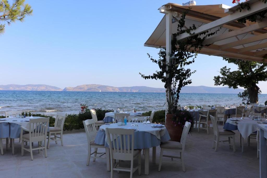 Photo of Others in Plepi