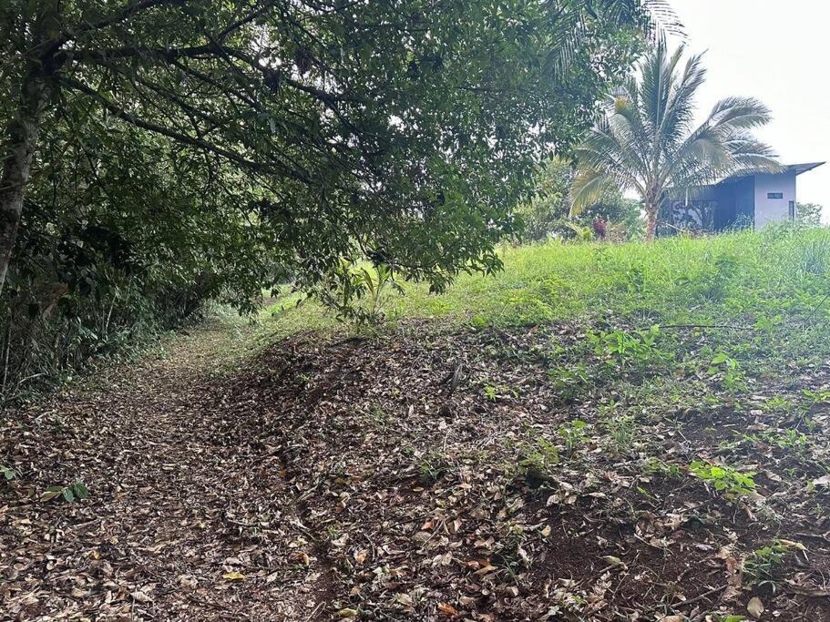 Photo of Outdoor in Vieja
