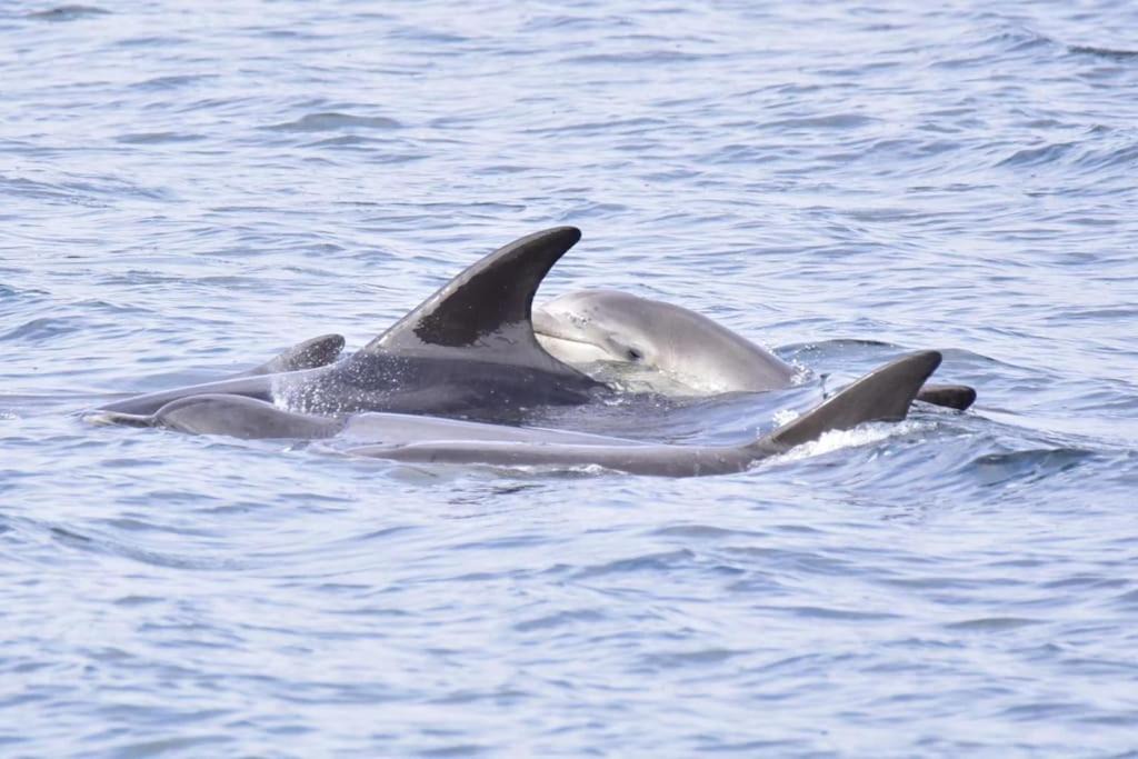 Photo of Others in Isle of Arran
