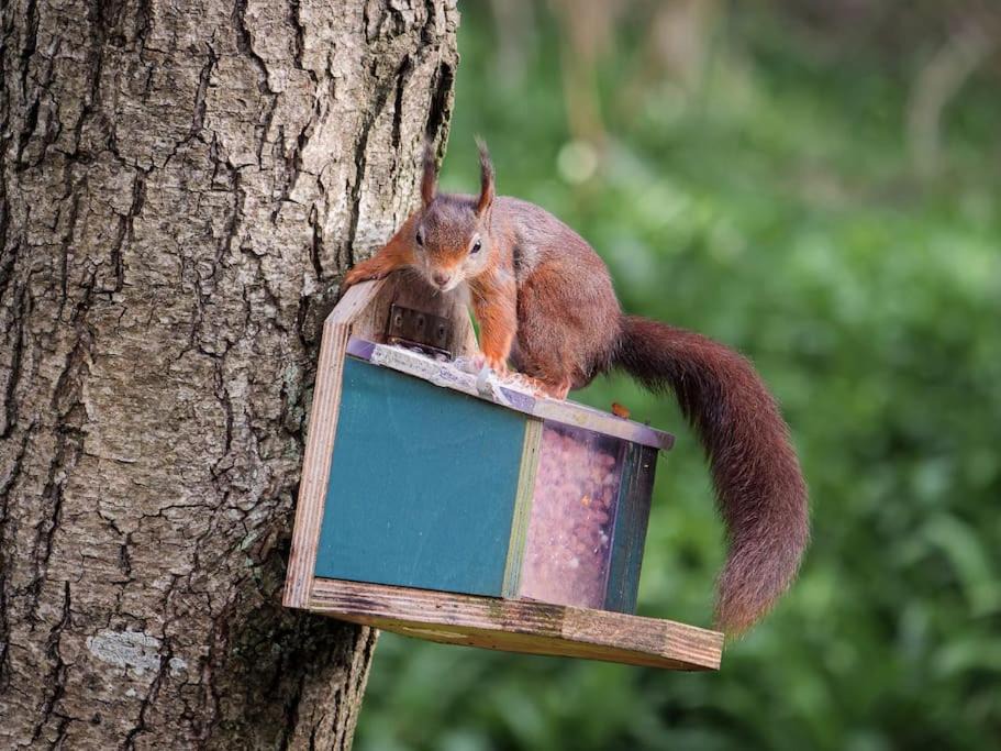 Photo of Others in Isle of Arran