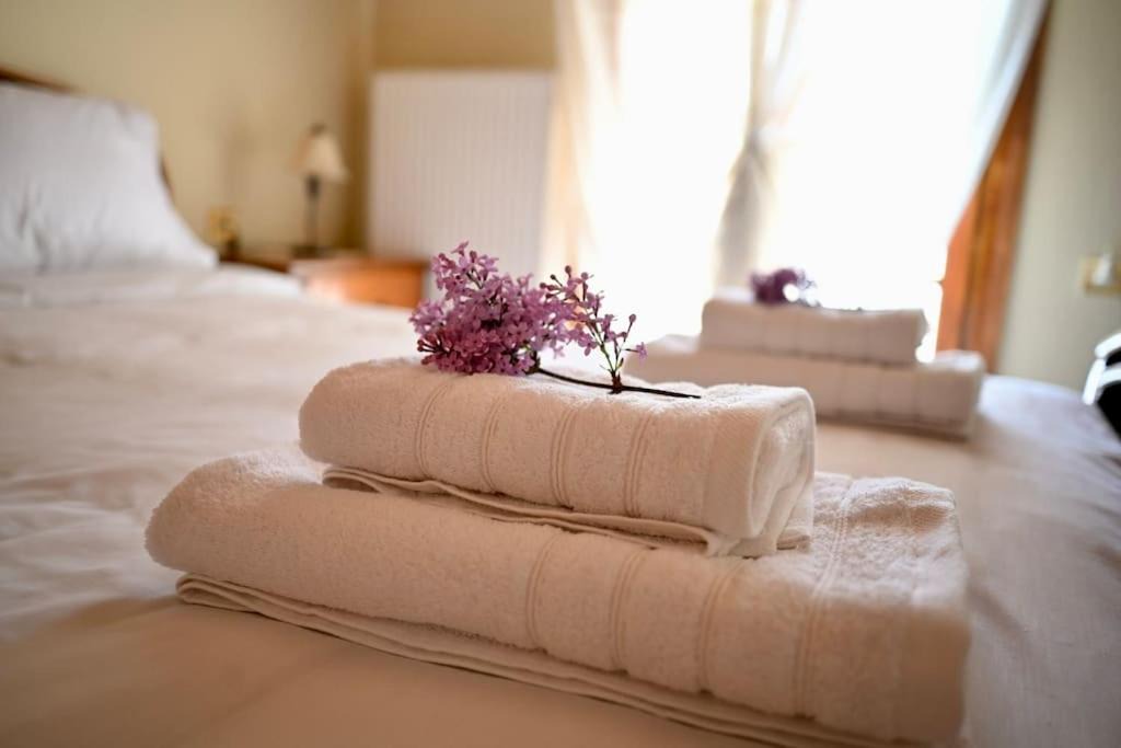 Photo of Others in Tripi