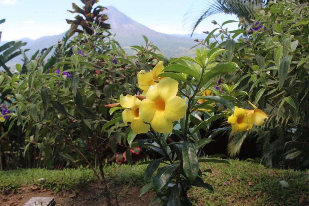 Photo of Others in Monterrey