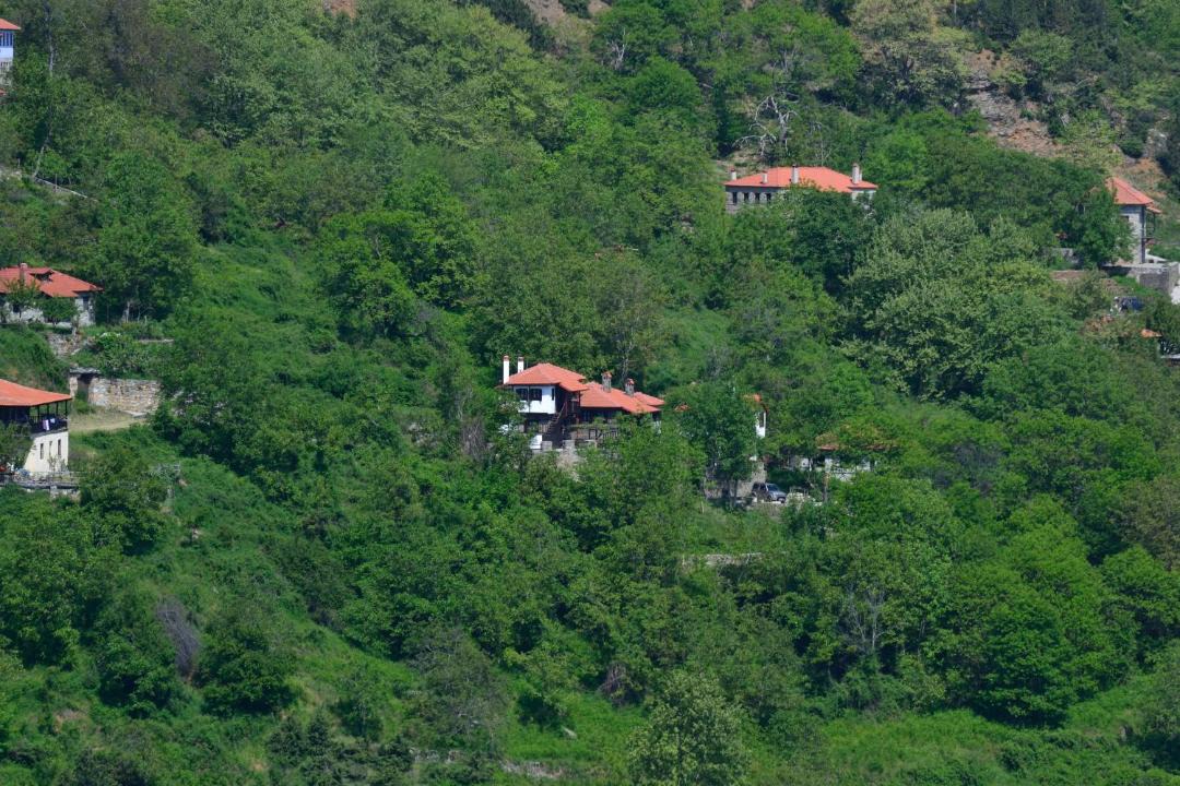 Photo of Others in Skotina