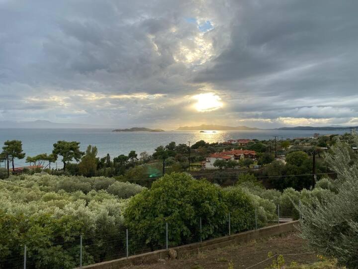 Photo of Others in Ouranoupoli