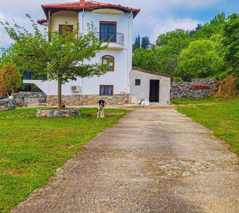 Photo of Buildings in Edessa