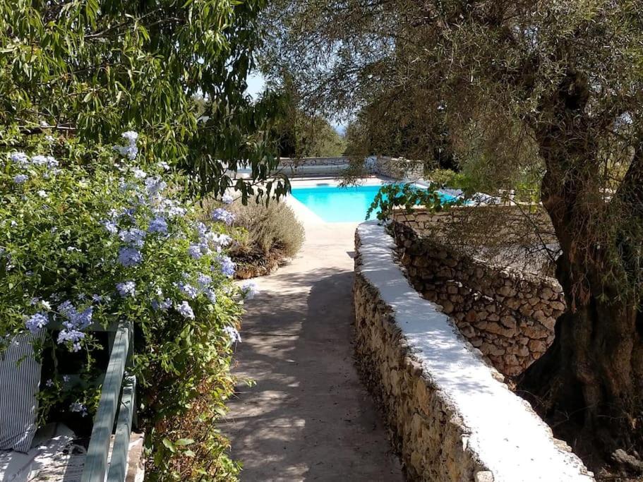 Photo of Outdoor in Korithi