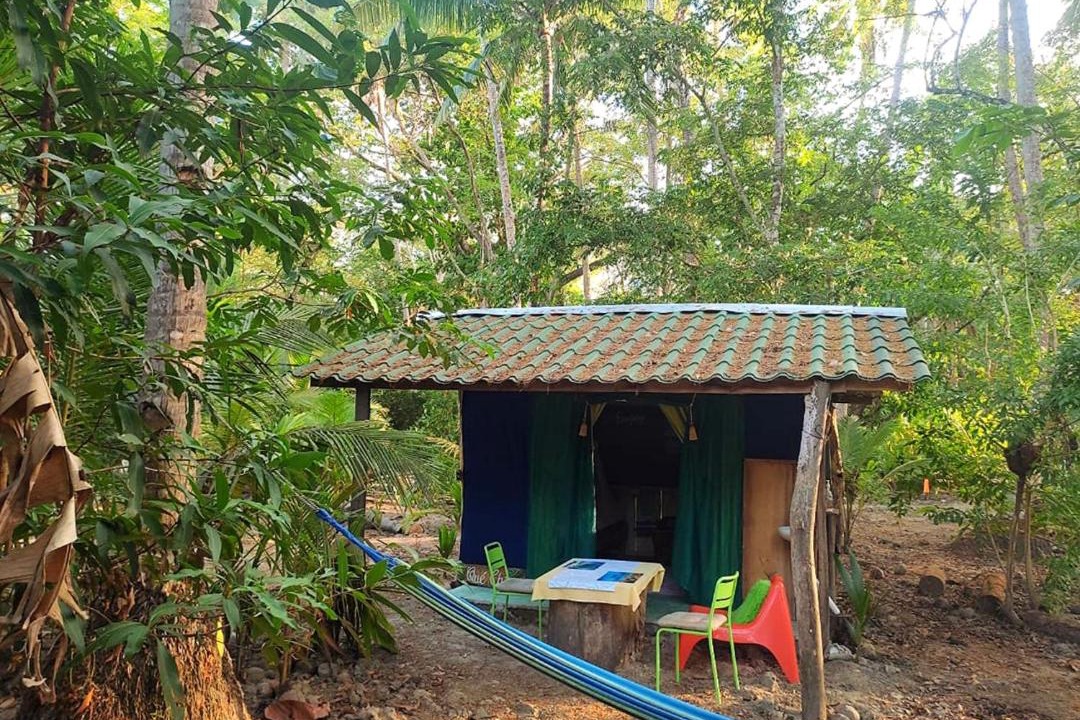 Photo of Others in Paquera