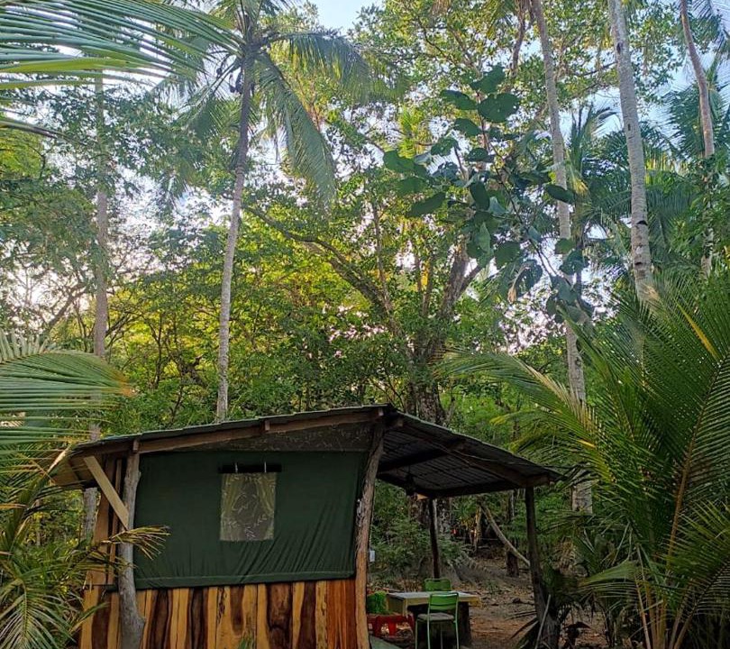 Photo of Others in Paquera