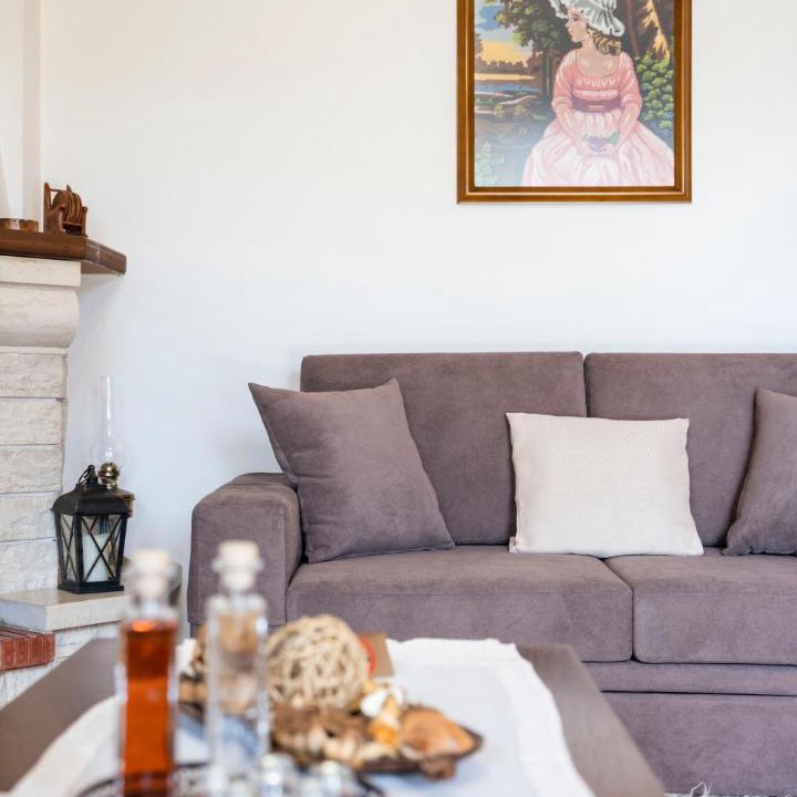 Photo of Livingroom in Monodendri