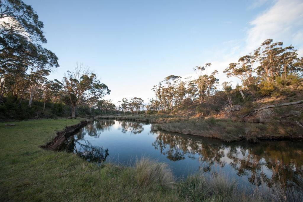 Photo of Others in Little Swanport
