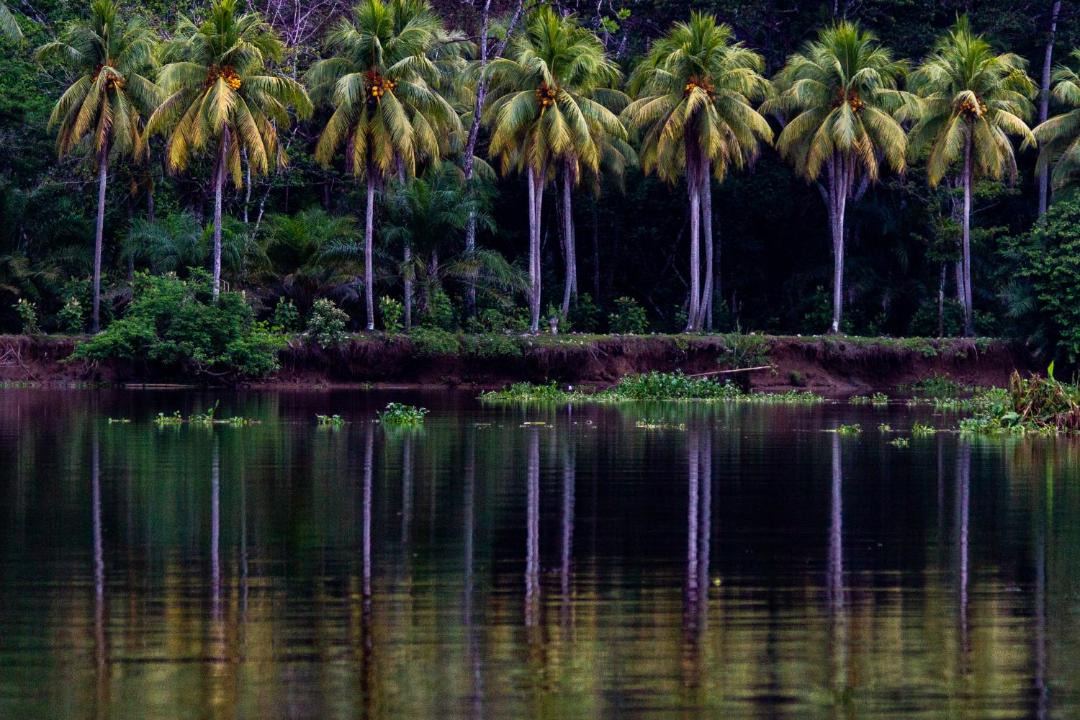 Photo of Others in Sierpe