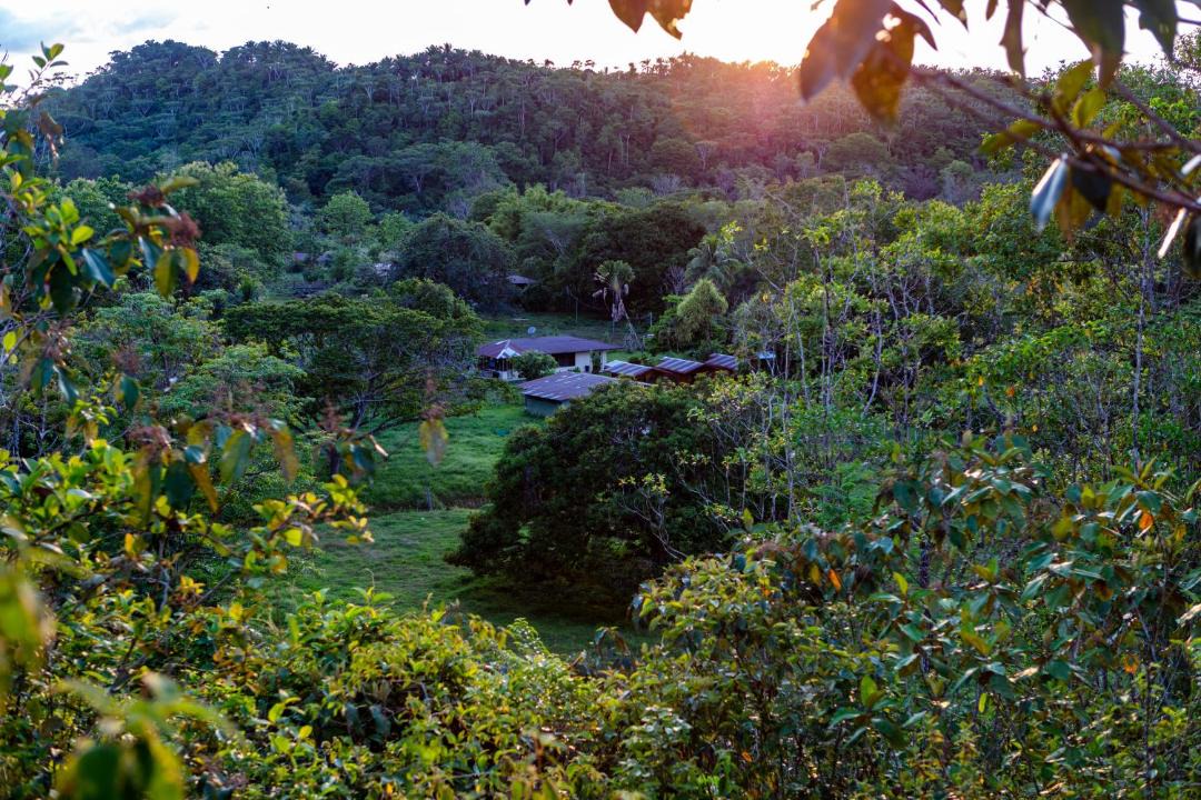 Photo of Outdoor in Sierpe