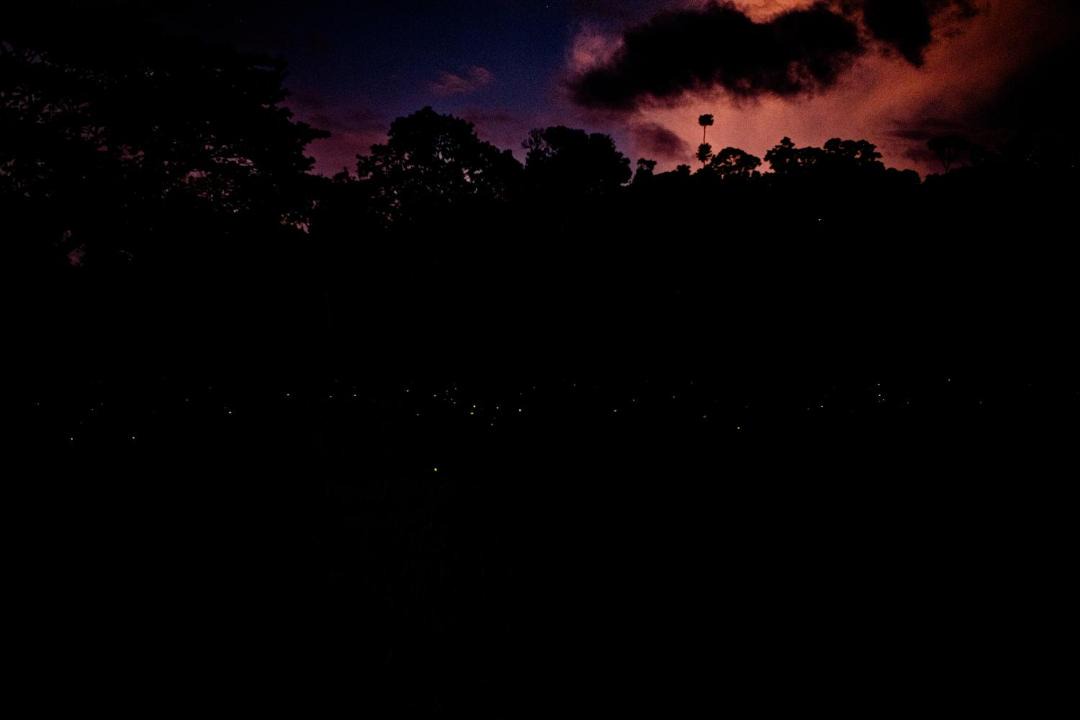 Photo of Others in Sierpe