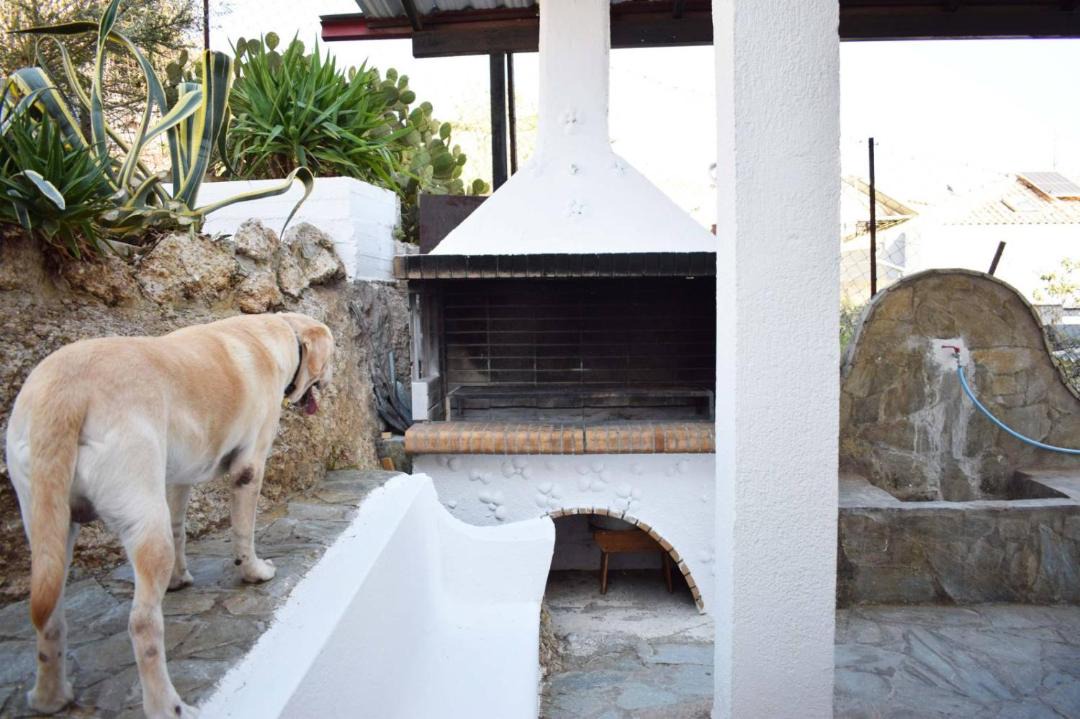 Photo of Others in Loutraki-Agioi Theodoroi
