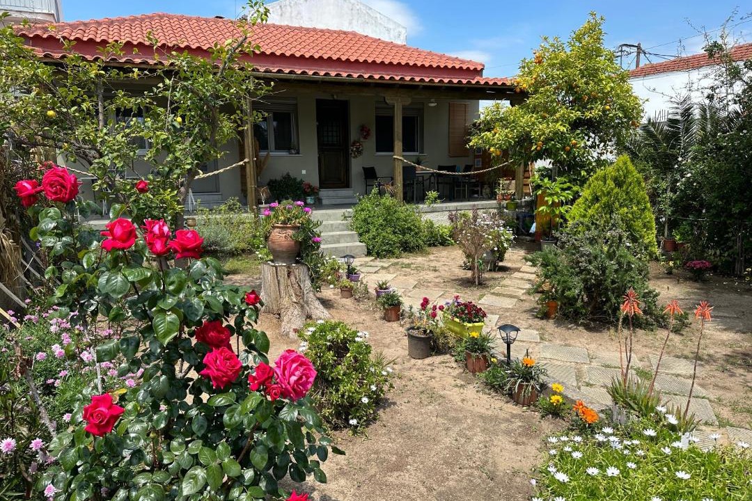 Photo of Others in Nees Pagases