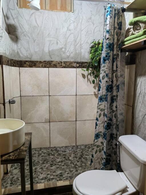 Photo of Bathroom in Desamparados