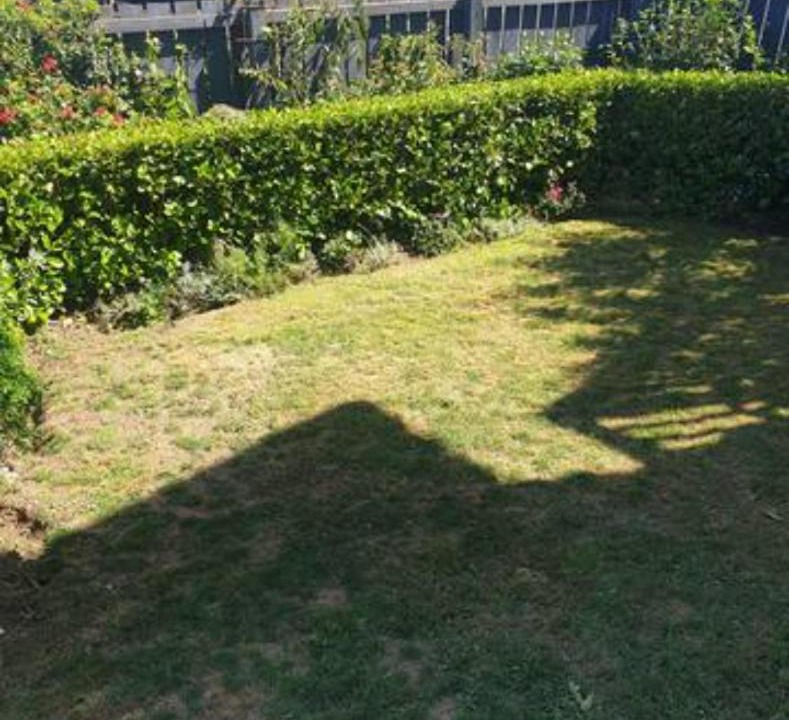 Photo of Others in Porirua