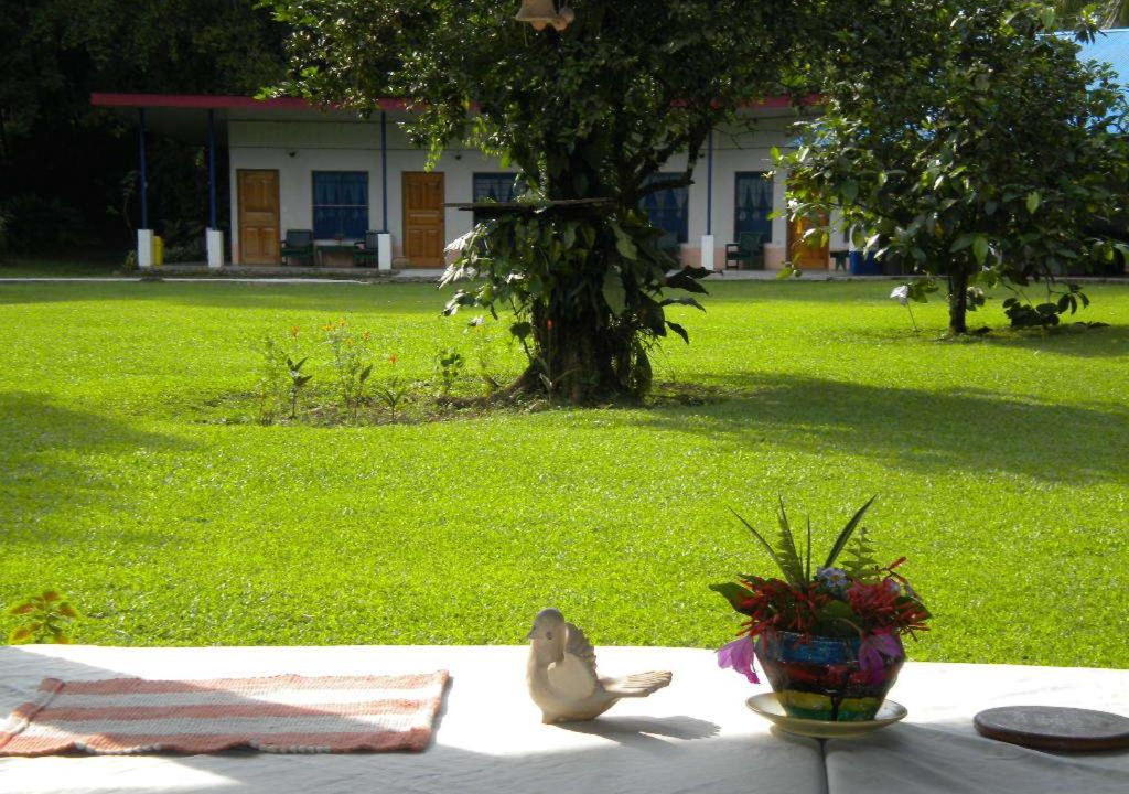 Photo of Others in Puerto Viejo de Sarapiqui