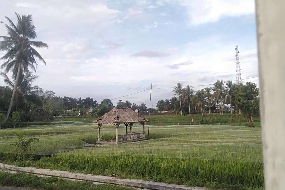 Photo of Others in Kecamatan Kopang