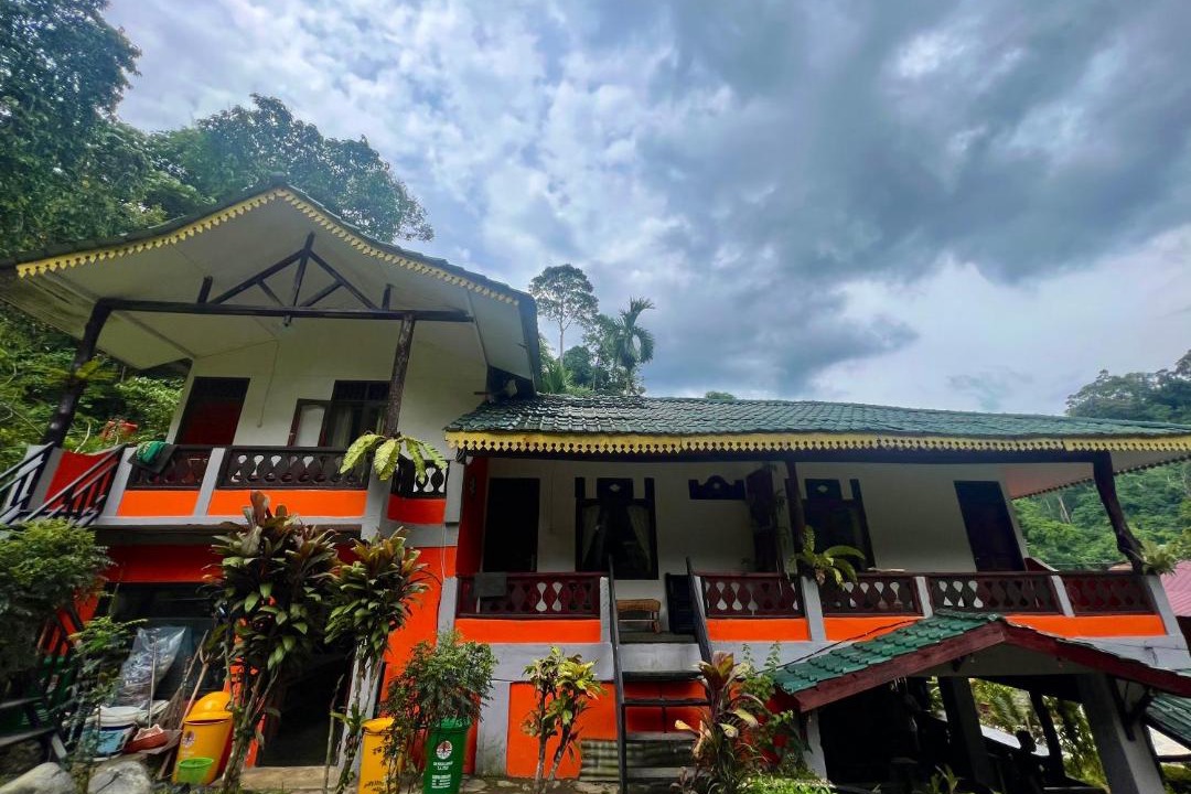 Photo of Others in Bukit Lawang