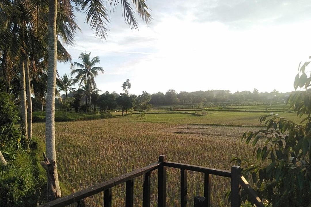 Photo of Others in Kecamatan Kopang