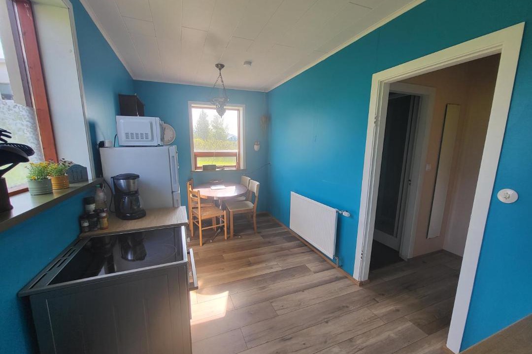 Photo of Others in Hrisey Island