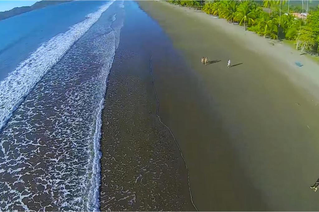 Photo of Others in Tambor
