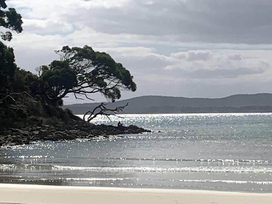 Photo of Others in Apollo Bay