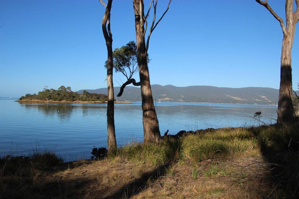 Photo of Others in Apollo Bay