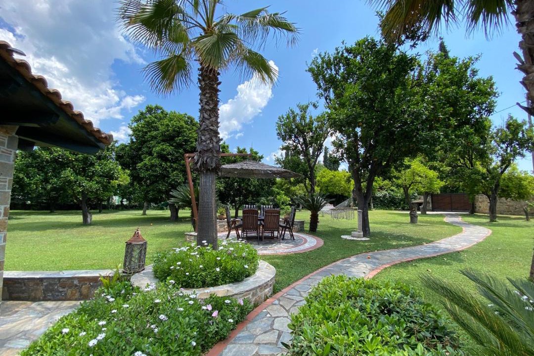 Photo of Others in Artemida