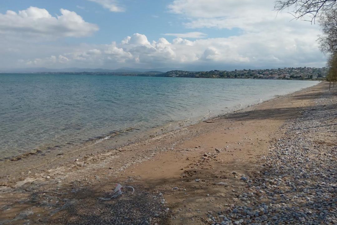 Photo of Others in Chalcis