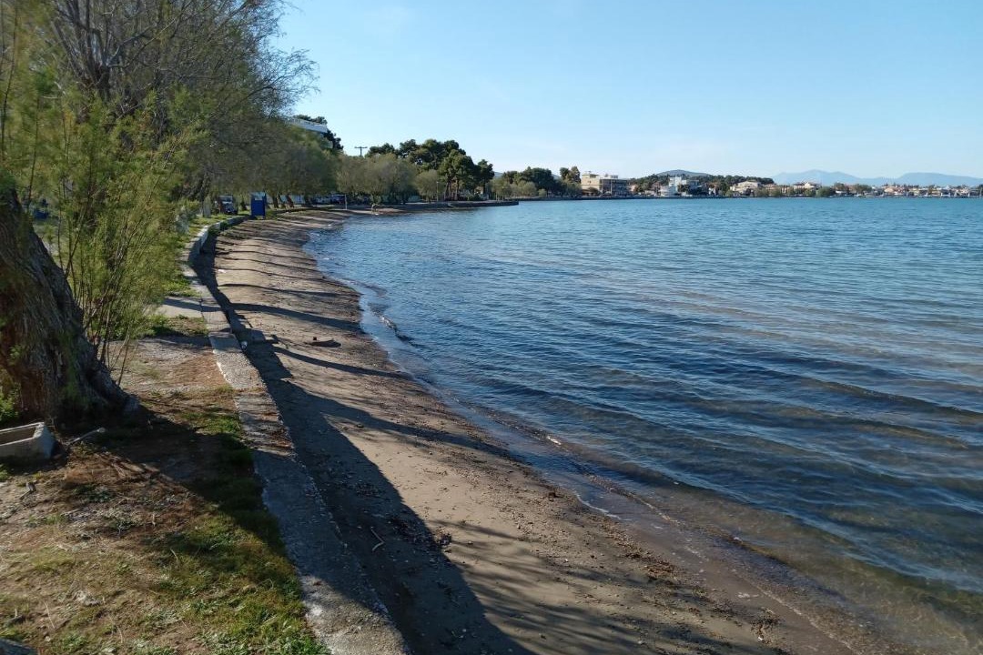 Photo of Others in Chalcis