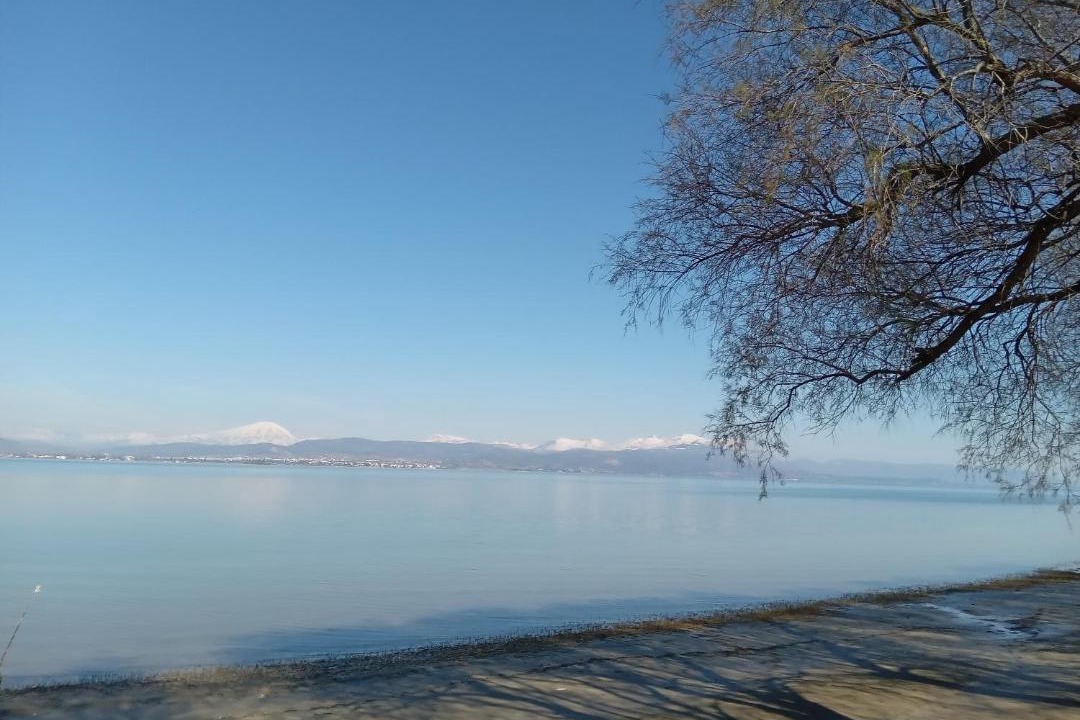 Photo of Others in Chalcis