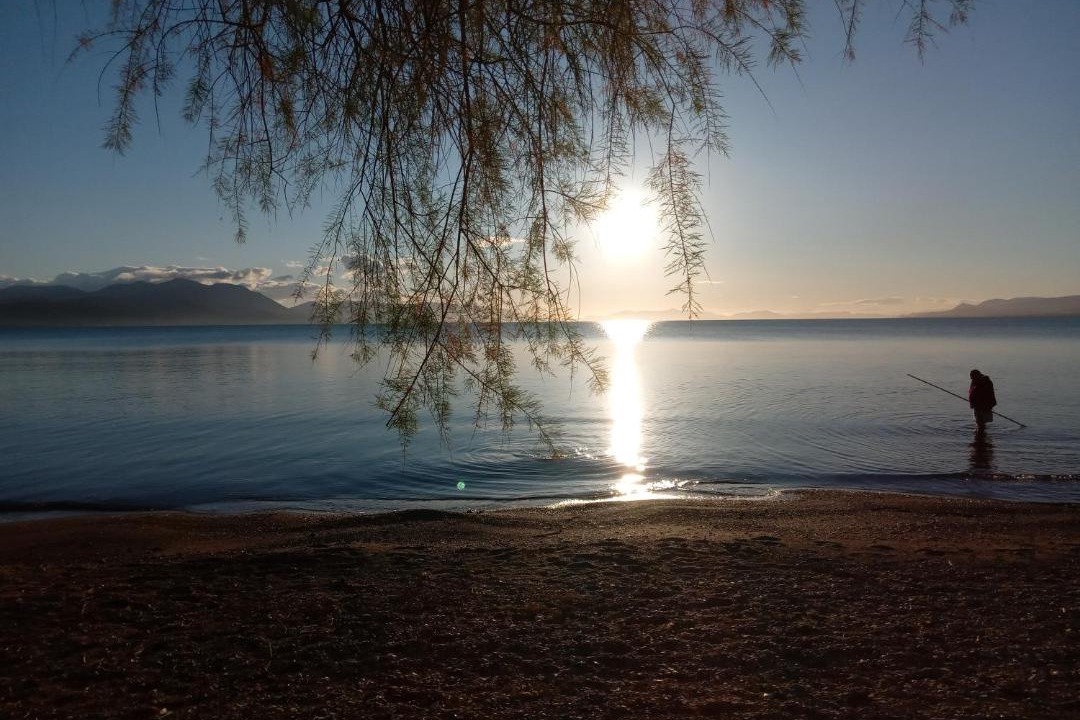 Photo of Others in Chalcis