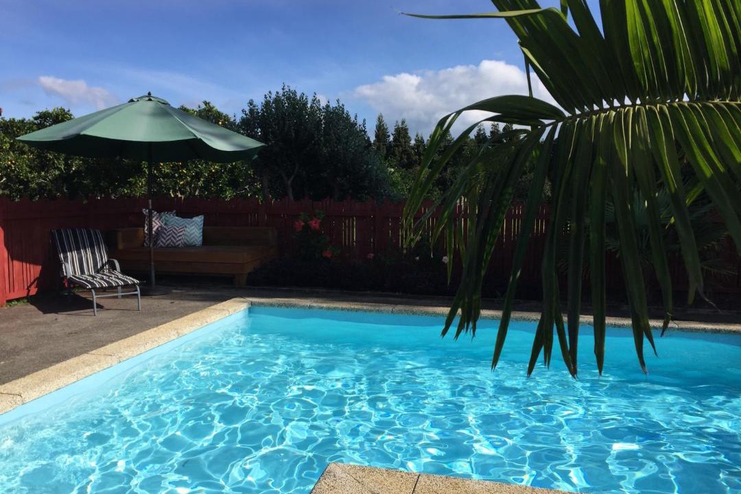Photo of Others in Kerikeri