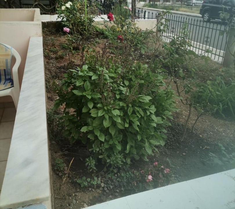 Photo of Others in Kamena Vourla