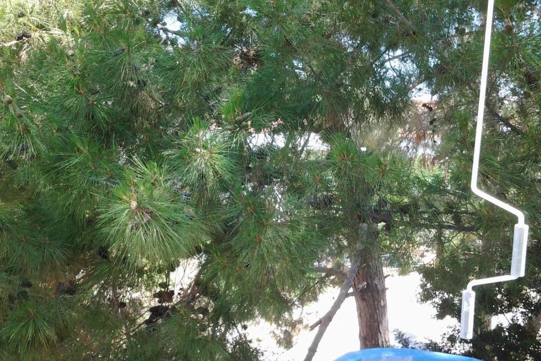 Photo of Others in Methana