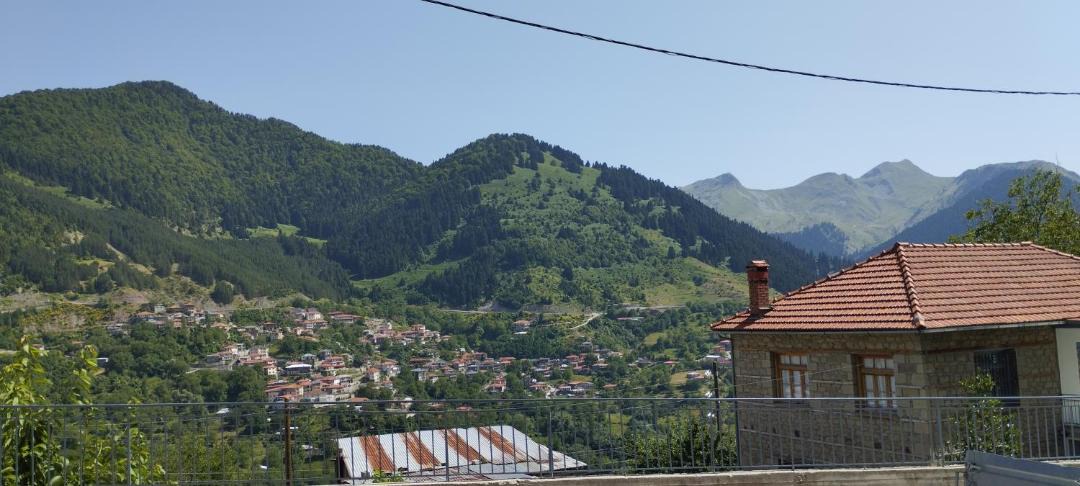 Photo of Buildings in Metsovo