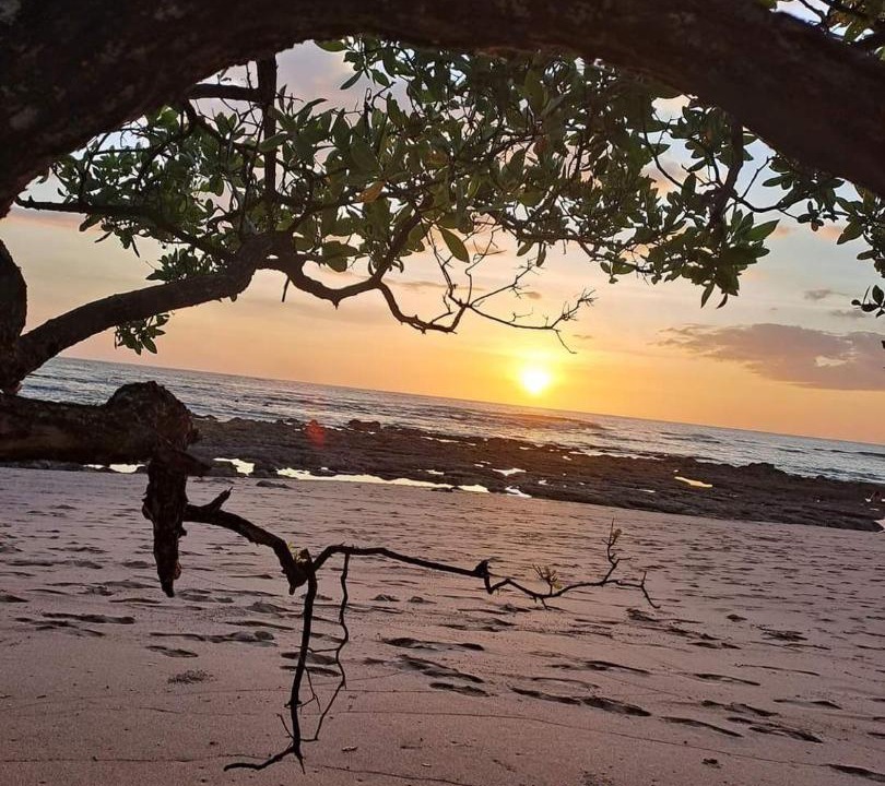 Photo of Others in Avellanas Beach